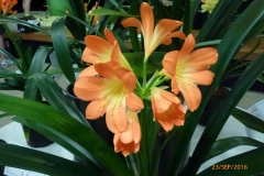 P1050784