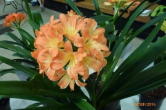 P1050786