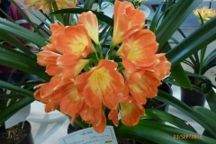 P1050789