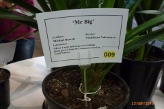 P1050790