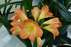 P1050791