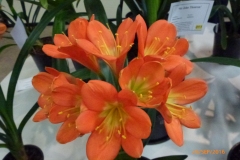 P1050793