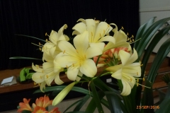 P1050797