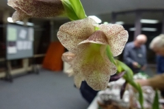 P1090462
