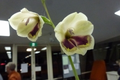 P1090463