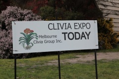 CLIVIA-EXPO-2012