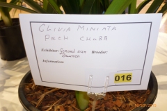 P1040609