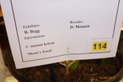 P1040632