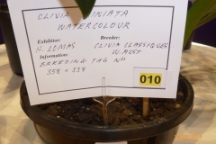 P1040663