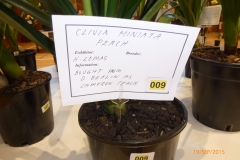 P1040666