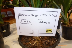 P1040668