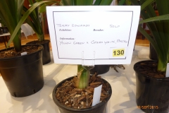 P1040670