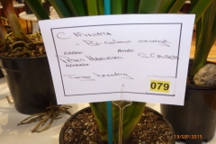 P1040677