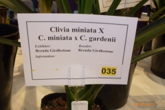 P1040686