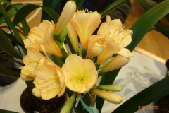 P1040689