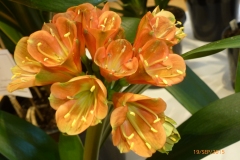 P1040693