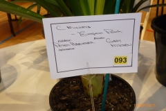 P1040702