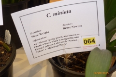 P1040710