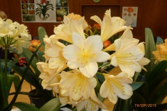 P1040769