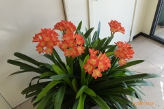 P1050875