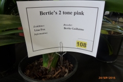 P1050884