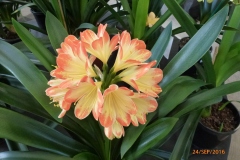 P1050885
