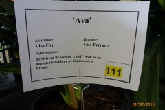 P1050886