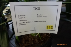P1050889