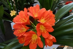 P1050890