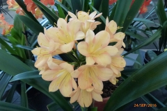 P1050892