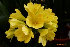 P1050894