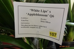 P1050899