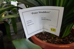 P1050901