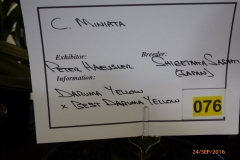 P1050909