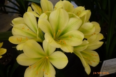 P1050910