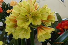 P1050937