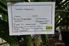 P1050938