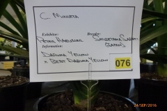 P1050940