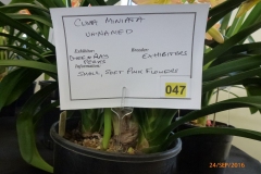 P1050944