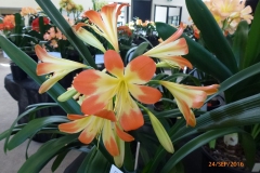 P1050945