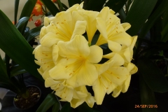 P1050961