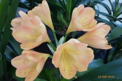 P1050968