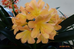 P1050970