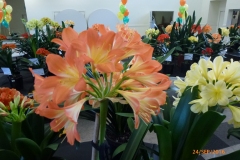 P1050984