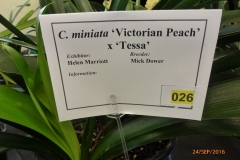 P1050994