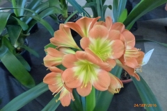 P1050995