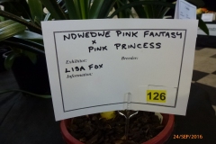P1050998
