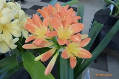 P1050999
