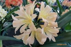 P1060005
