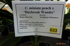 P1060006